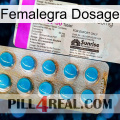 Femalegra Dosage new07